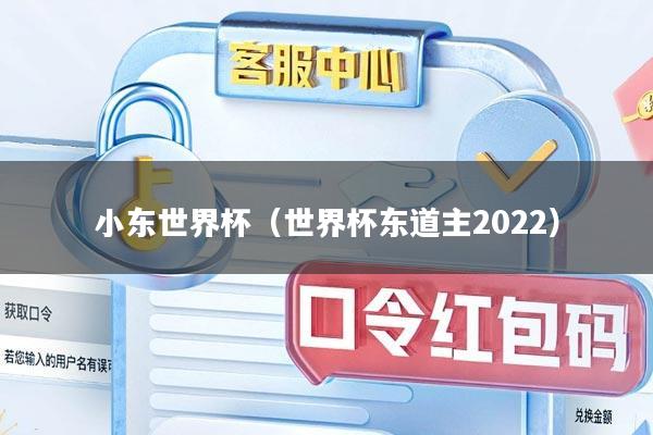 小东世界杯（世界杯东道主2022）