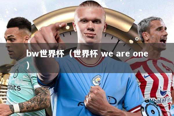 bw世界杯（世界杯 we are one）