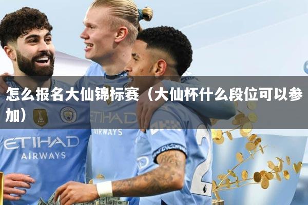 怎么报名大仙锦标赛（大仙杯什么段位可以参加）
