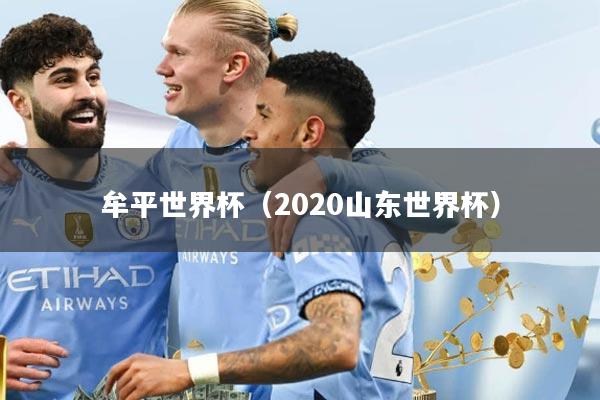牟平世界杯（2020山东世界杯）