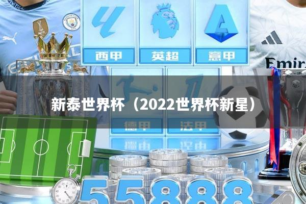 新泰世界杯（2022世界杯新星）