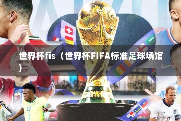 世界杯fis（世界杯FIFA标准足球场馆）
