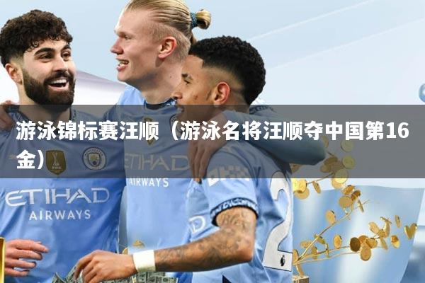 游泳锦标赛汪顺（游泳名将汪顺夺中国第16金）