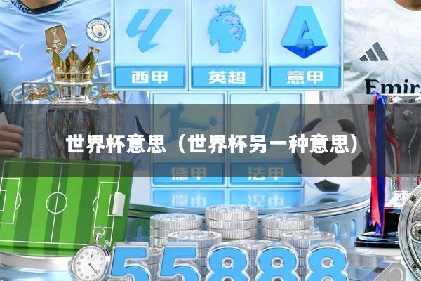 世界杯意思（世界杯另一种意思）