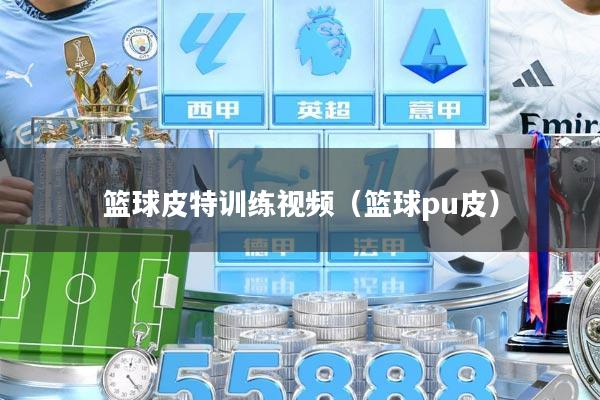 篮球皮特训练视频（篮球pu皮）