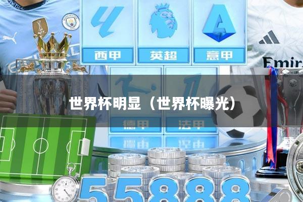 世界杯明显（世界杯曝光）