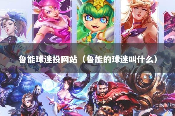 鲁能球迷投网站（鲁能的球迷叫什么）