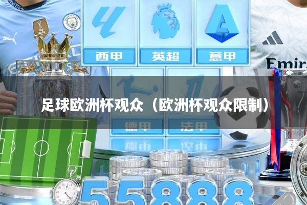 足球欧洲杯观众（欧洲杯观众限制）