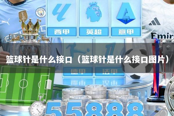 篮球针是什么接口（篮球针是什么接口图片）