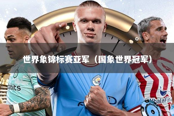 世界象锦标赛亚军（国象世界冠军）