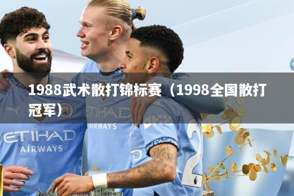 1988武术散打锦标赛（1998全国散打冠军）